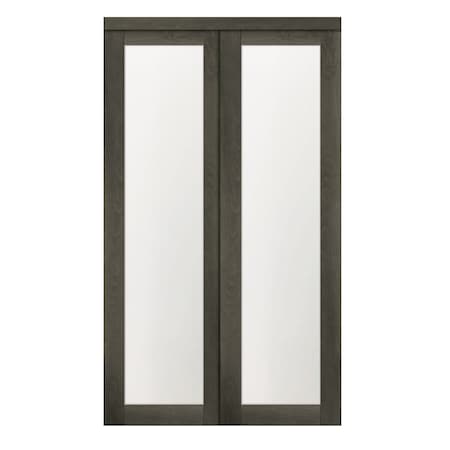 Renin 72 in. x 80 1/2 in. Euro 1-Lite Bypass Door Iron Age EU2450IAFGE072080